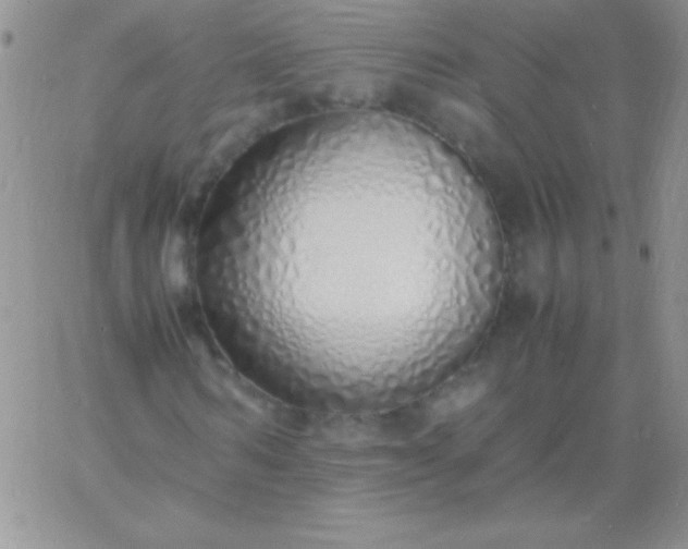 X0000060750962200511241659