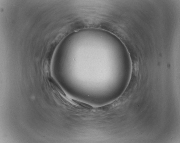 X0000060750963200511241659