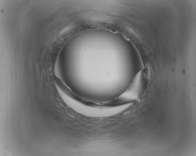 X0000060750965200511241659