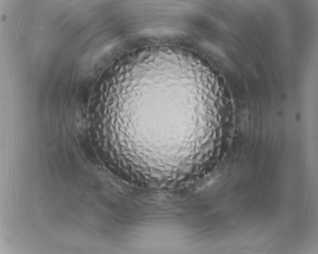 X0000060750966200511241659