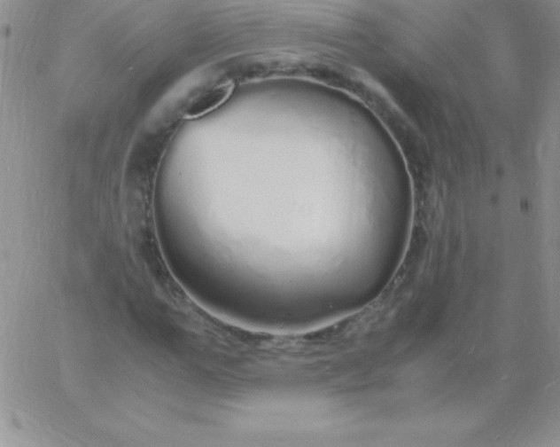 X0000060750967200511241659