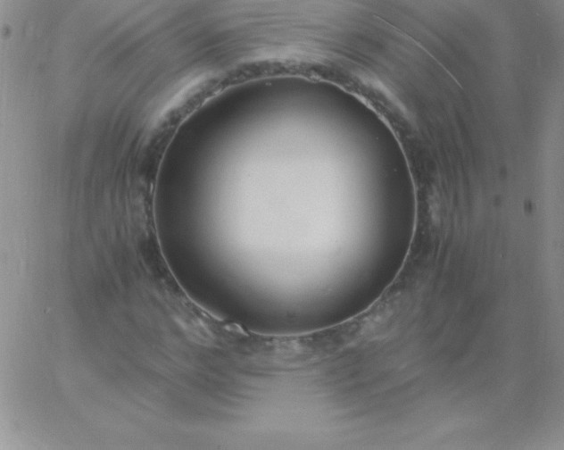 X0000060750968200511241659