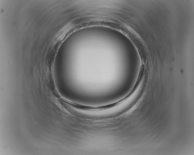 X0000060750969200511241659