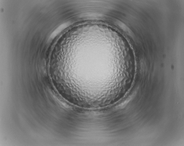 X0000060750970200511241659