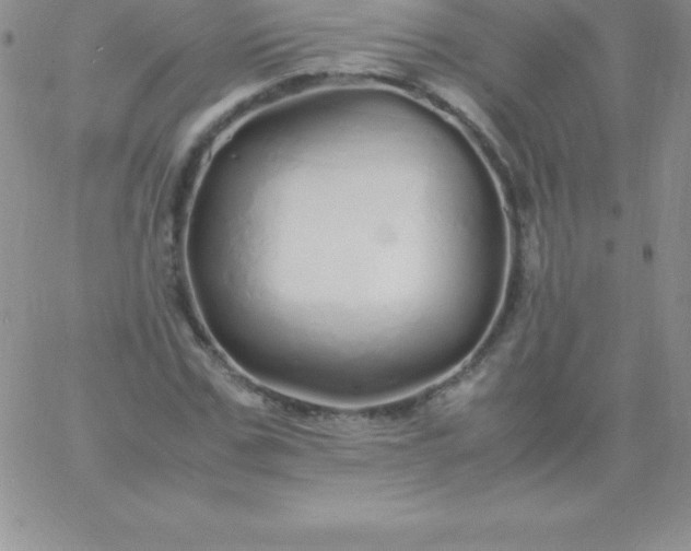 X0000060750971200511241659