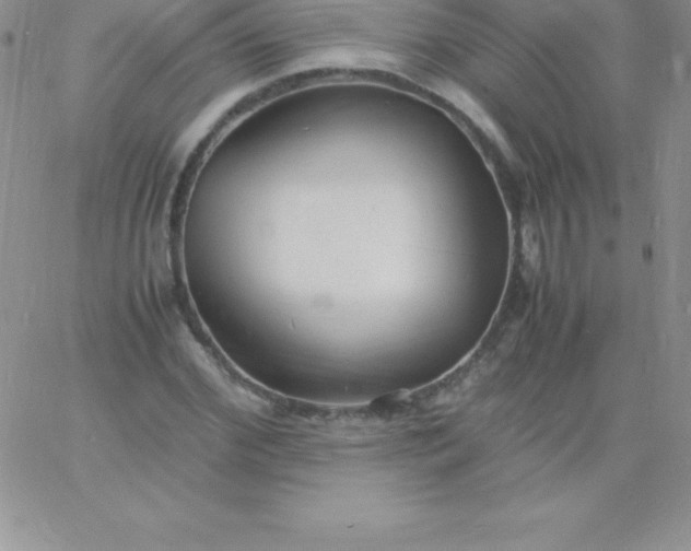 X0000060750972200511241659