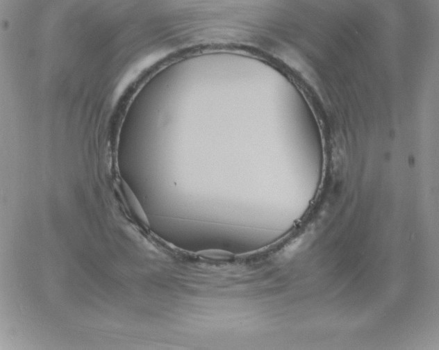 X0000060750973200511241659