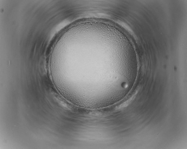 X0000060750974200511241659