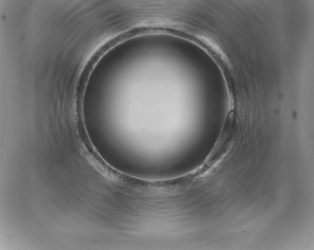 X0000060750976200511241659