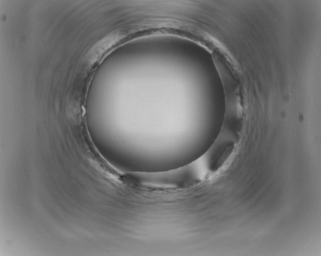 X0000060750977200511241659