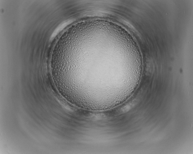 X0000060750978200511241659