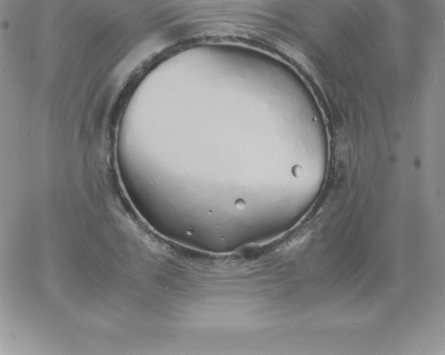 X0000060750979200511241659