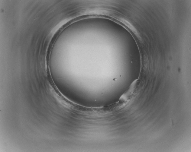 X0000060750980200511241659