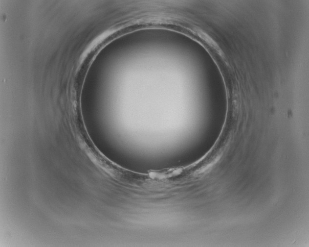 X0000060750981200511241659