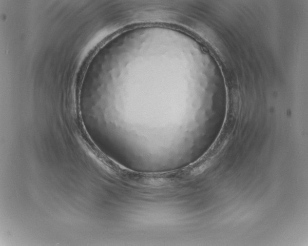 X0000060750982200511241659