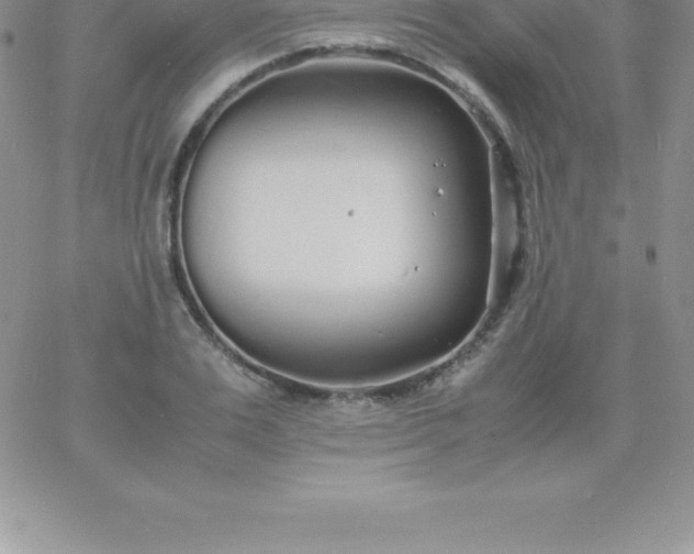 X0000060750983200511241659