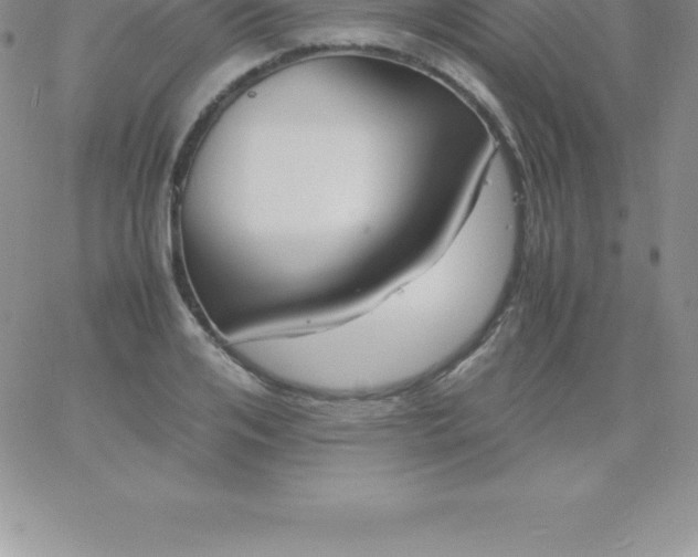 X0000060750984200511241659