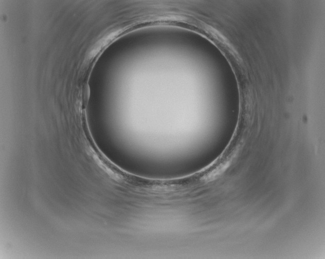 X0000060750985200511241659