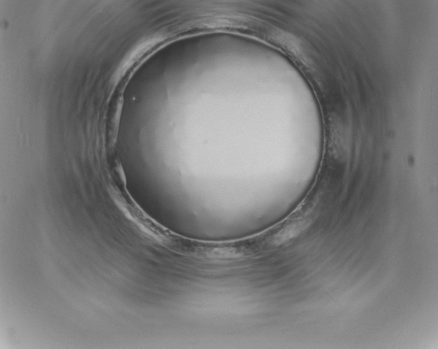 X0000060750986200511241659