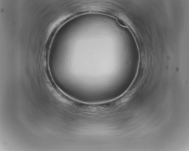 X0000060750987200511241659