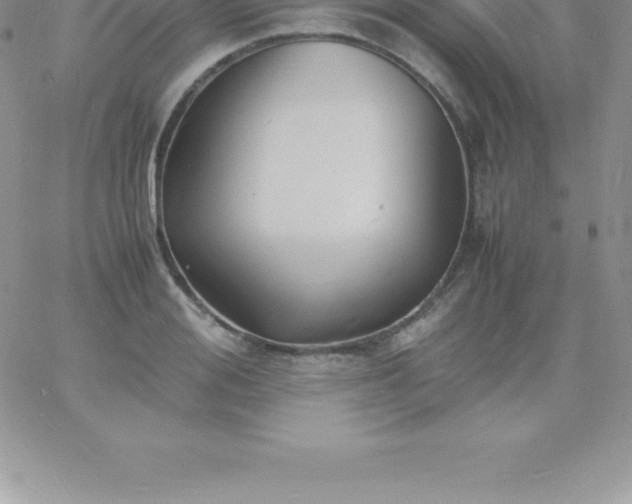 X0000060750988200511241659