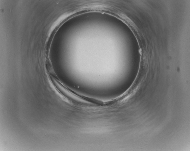 X0000060750989200511241659