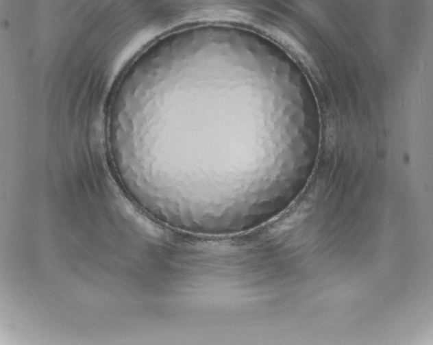 X0000060750990200511241659