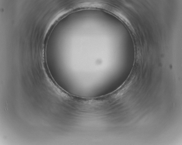 X0000060750992200511241658