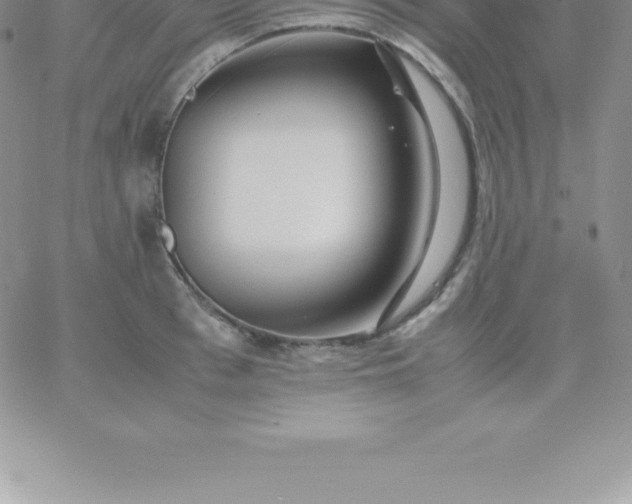 X0000060750993200511241658