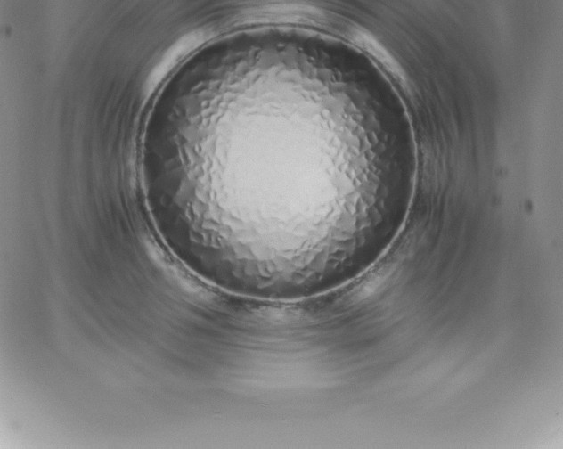 X0000060750994200511241658