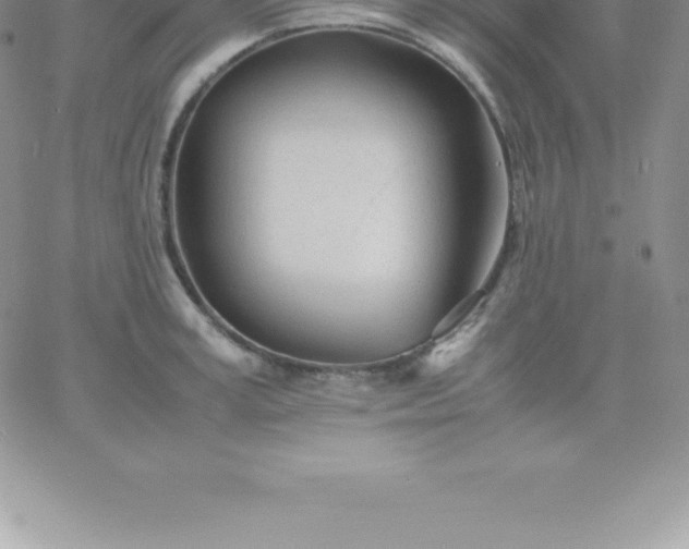 X0000060750995200511241658