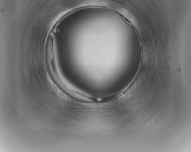 X0000060750996200511241658