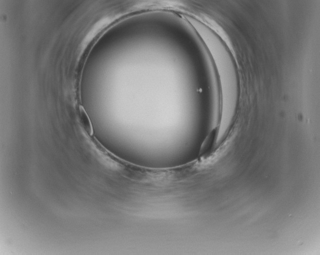 X0000060750997200511241658