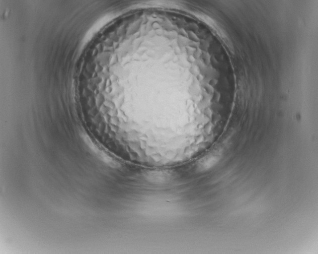 X0000060750998200511241658