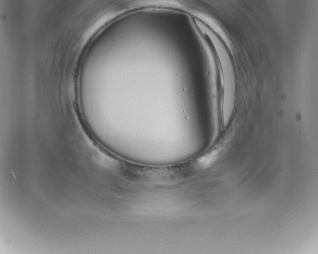 X0000060750999200511241658