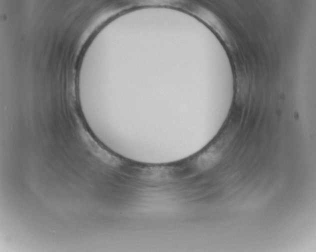 X0000060751000200511241658