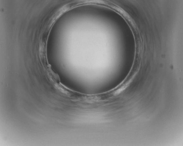 X0000060751001200511241658