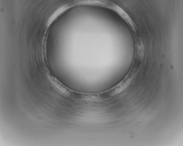 X0000060751002200511241658