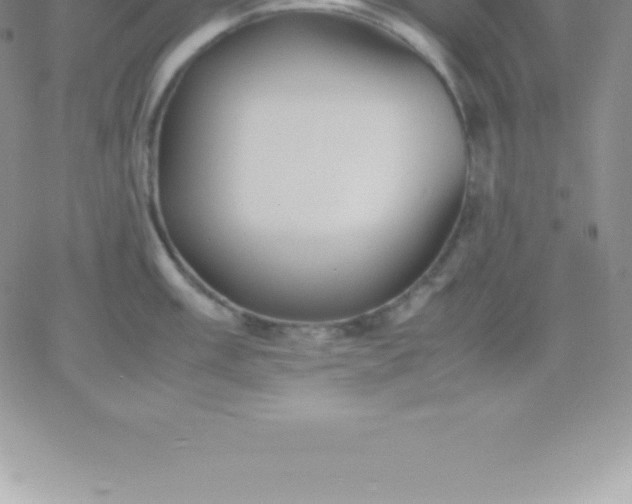 X0000060751003200511241658