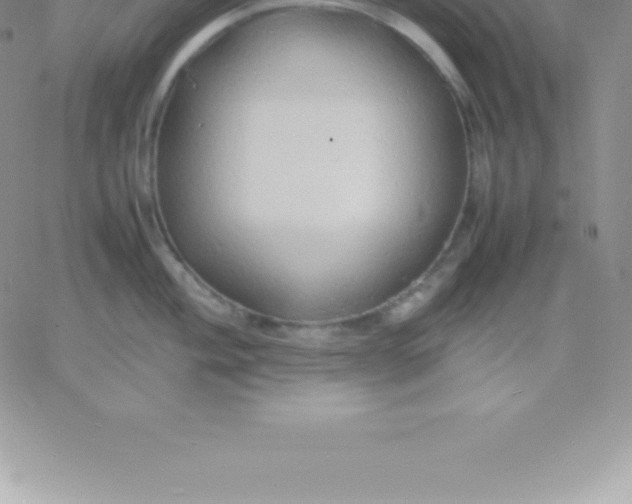 X0000060751004200511241658