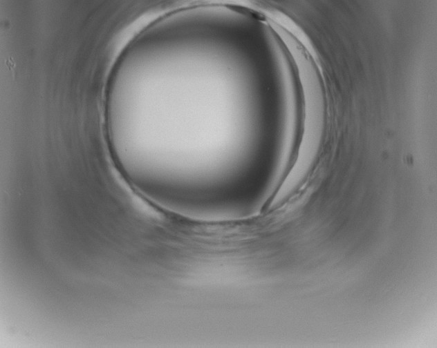 X0000060751005200511241658