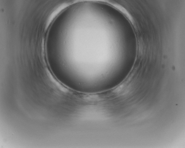 X0000060751006200511241658