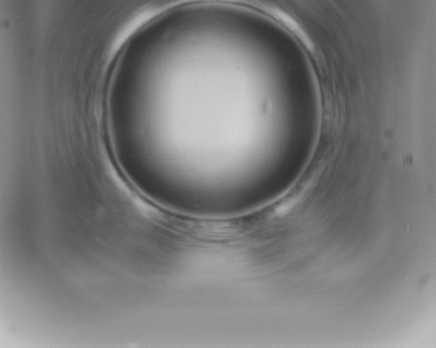 X0000060751007200511241658