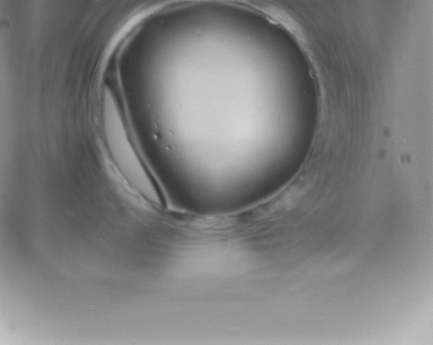 X0000060751008200511241658