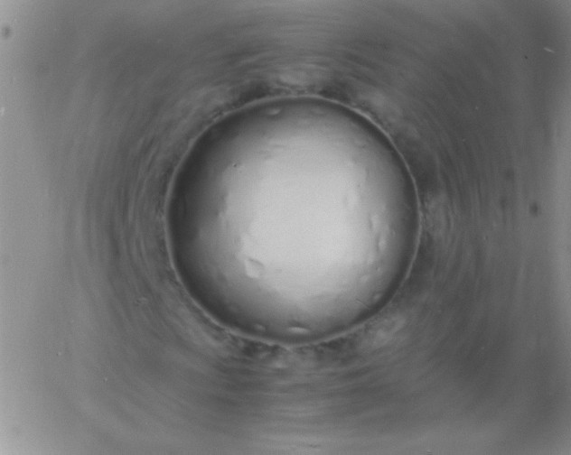 X0000060751009200511241657