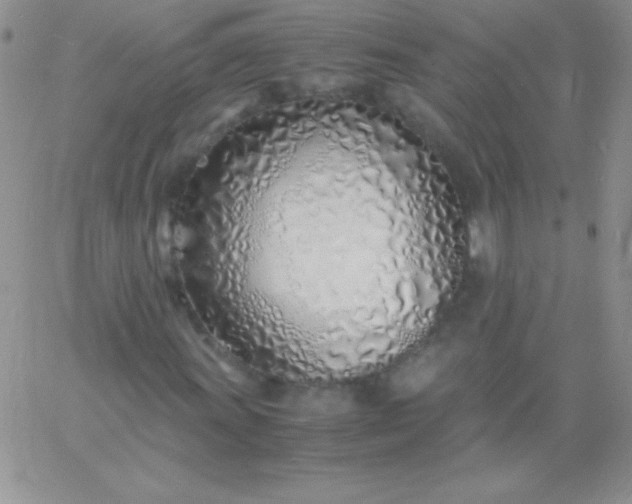 X0000060751011200511241657