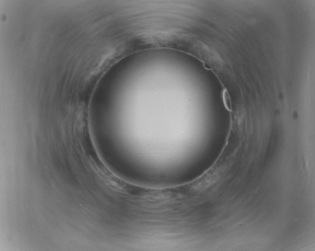 X0000060751012200511241657