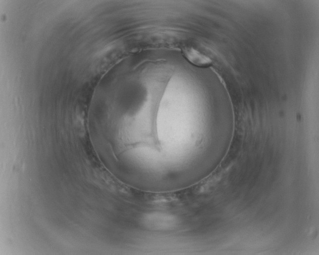 X0000060751013200511241658