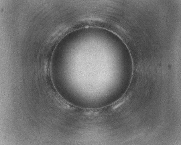 X0000060751014200511241658