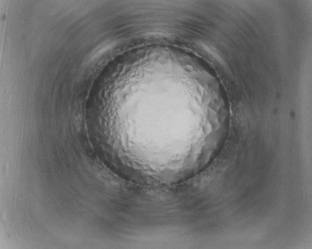 X0000060751015200511241658